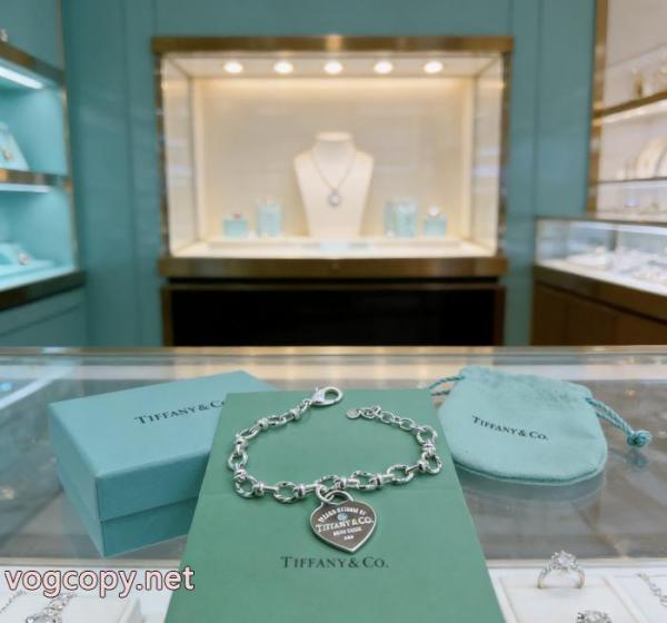 Tiffany&Coコピー ブランドアクセサリー最新大人気 雑誌掲載 こだわり高級 お買い得.. 6 