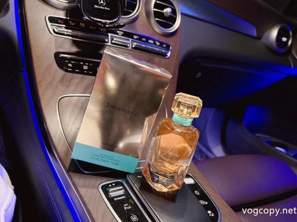 ブランド激安価格! 素敵デザイン未入荷ブランド 秋冬の流行りトップスブランド コピーティファニー.. 0